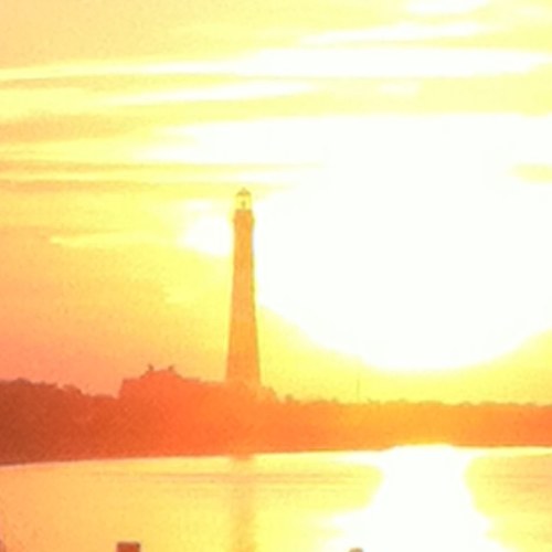 csfd507's profile picture. 