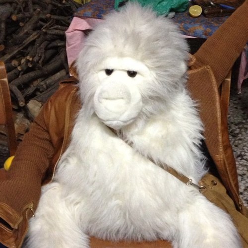 Vivía en la jungla, hasta que me convirtieron en peluche y estuve pillando polvo 2 años, hasta que mi amante @Miguelrp94 me rescato, desde entonces follamos 33