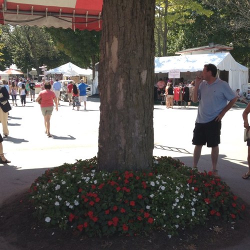 PNINI4's profile picture. 