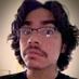Sir Guru of the Hemp (@hemp_guru) Twitter profile photo