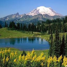 DragosAlbei's profile picture. Good thoughts attract good thoughts and good deeds.

Gandurile bune atrag ganduri bune si fapte bune.