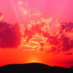 walkout12345's profile picture. im an all star paintballer and air softer the coreses that are in hawaii are big as hek i started paintballing when i was 7