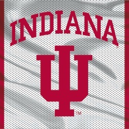 Bored? Here's some things to do around IU's campus. We tweet about the night or next day's events.  #IU #iubb #bloomington #bored
