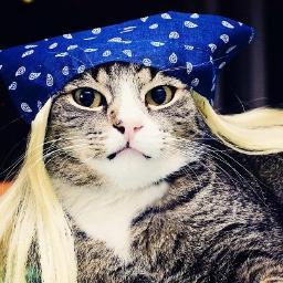 karalynnkl's profile picture. 