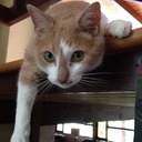 Amy Kradel - @kradel5 - Twitter