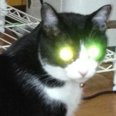 七臣