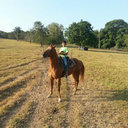 manuel roche - @manuelcoleo - Twitter