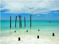 GoHoneymooning's profile picture. 