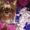 April McCoy-Smith - @mysisnme312 - Twitter