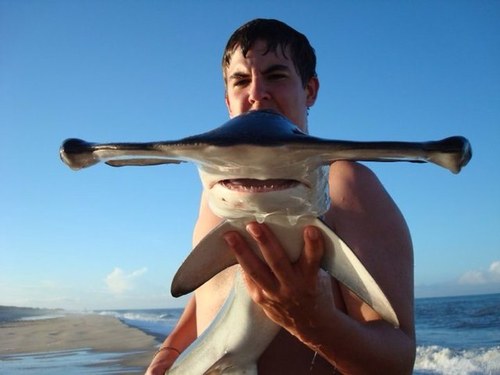 shauncpalmer's profile picture. 