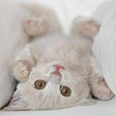 Edwin Josue - @DeathStar_X3 - Twitter