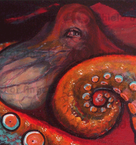 donna chaasadahさんのプロフィール画像