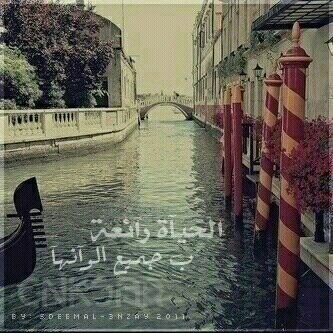 Maryh2323's profile picture. 