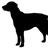 daisydogmusic's profile image