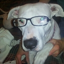 Robert Ladd - @misterplow69 - Twitter