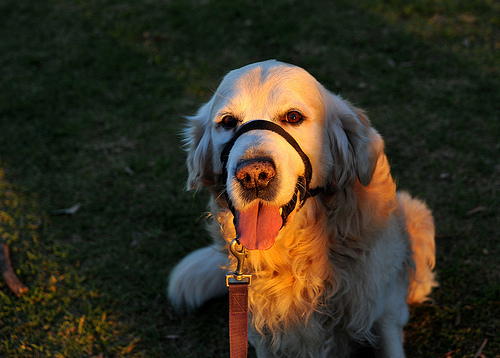 jeffkhor79's profile picture. From Supply Chain to CyberSecurity