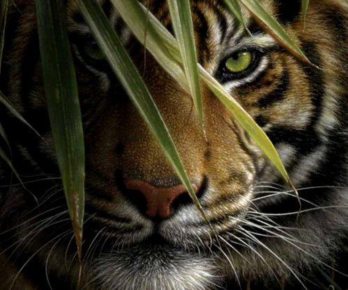 Mukhametov_S's profile picture. photo,travels,stocks,finance