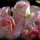 RICHA PURI - @RICHAPURI2 - Twitter