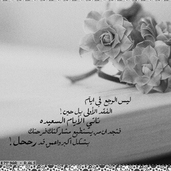 __ولأننا نغرم بِ الآشياء حد آلتملك نخسرهاآ كثيراً ♡̷̷̷̷̷̷̷