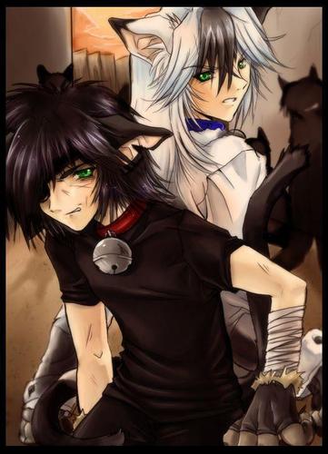 Both : We're Cat Brothers ¦ Trace : I'm The One In Black #Single¦ Lonestar : I'm The In White #Single ¦ Trace is younger