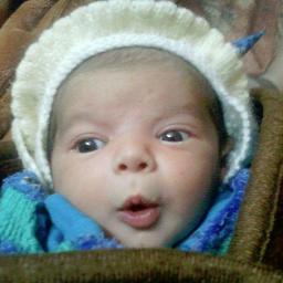 cute_lamba's profile picture. 