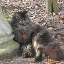 Sharon Smith - @sharonrose2222 - Twitter