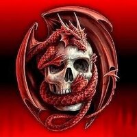 Stephen Kidder - @Dragonsdivinity Twitter Profile Photo
