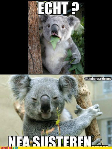 Soreno_046's profile picture. 