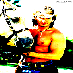 beez_map's profile picture. 