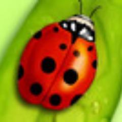 Andy 💚🐞🇵🇹🐸🧡
