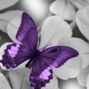 arijit banerjee - @arijit4391 - Twitter