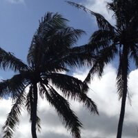 PEM Updates (@pemupdates) 's Twitter Profile Photo PEM Updates (@pemupdates) 's Twitter Profile Photo