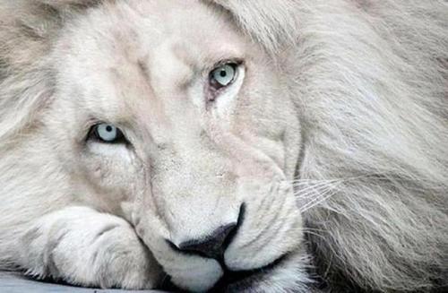 crikette41's profile picture. 