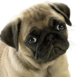 JosephFoster3g's profile picture. Free classified ads. Post free ads for Pets, Items for Sale, Real Estate, Jobs, Vehicles