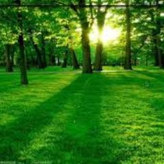 Free Energy