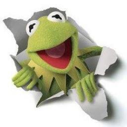 bobinhoesponge Profile Picture