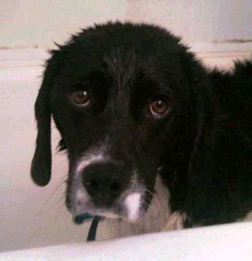 willisb12's profile picture. Have a nice day