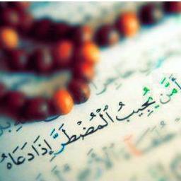 الَّذِينَ آمَنُوا وَتَطْمَئِنُّ قُلُوبُهُم بِذِكْرِ اللَّهِ ۗ أَلَا بِذِكْرِ اللَّهِ تَطْمَئِنُّ الْقُلُوبُ.....أَتَنَفَّسُ هنا بذكر الله