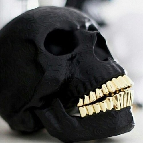 TrillTalk91's profile picture. Young trill nigga comin out Houston Tx hangin with the dope boys in the hallway
Doin everything yo man cant