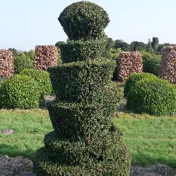 Hedgeworx are suppliers of top quality hedging plants, topiary and trees. We also offer a full planting service.. Contact us for a quote or visit our website!