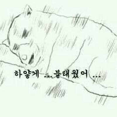 ë‹ˆê°€ ã…‹ ì†ë‹´ë¹„ì˜ ì—…ì‹  Starsky 1229 Twitter