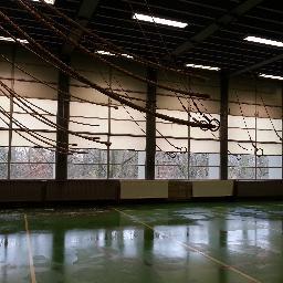 GaalVivian's profile picture. 