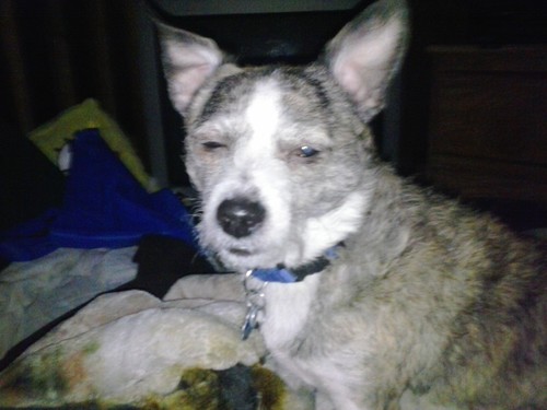 ryanhestand's profile picture. 