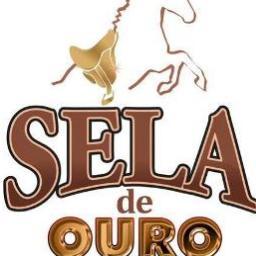 Lançada em 28 de outubro de 2011, a Web Rádio Sela de Ouro é uma emissora com programação 100% sertanejo, nossa equipe está sempre preocupada em levar até você