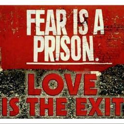 RBentleyP's profile picture. 