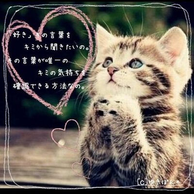好き 恋愛 Suuuuukiii توییتر