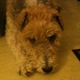 abigemben's profile picture. 