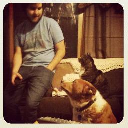 damnthefall's profile picture. I think; Therefore I am...