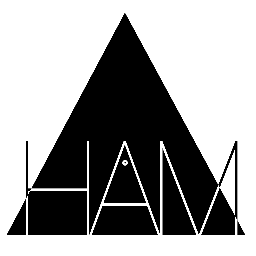H.A.M. shirts S.C. | GO HAM OR GO HOME | kleding merk | exclusieve prints | voor mannen die houden van feesten | #HAMshirts