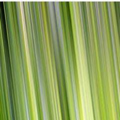 LU_ZZ_'s profile picture. 